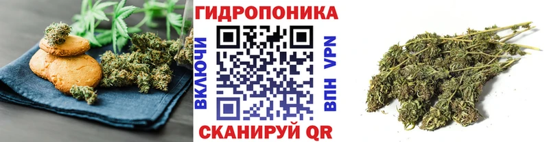 Canna-Cookies конопля  Купить  Светогорск 