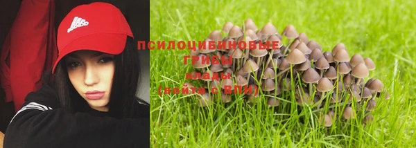 прущая мука Приозерск